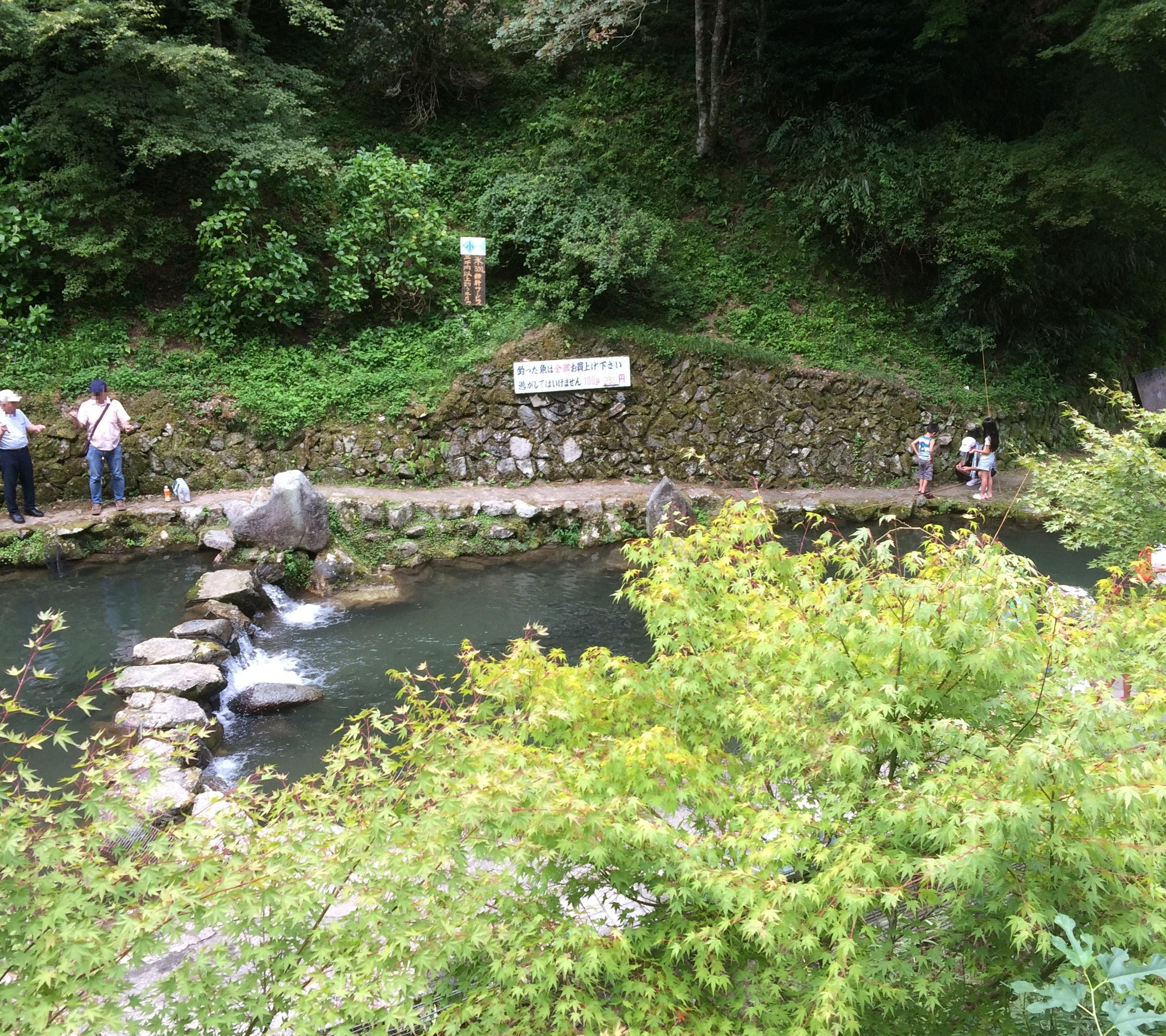 放流直後が狙い目！千早川マス釣り場は子どもとのんびり釣りをしたい方にオススメ！料金割引の方法も紹介！